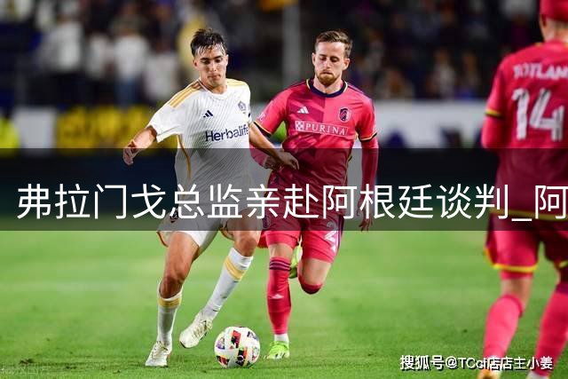 弗拉门戈总监亲赴阿根廷谈判 阿尔马达转会进入关键阶段